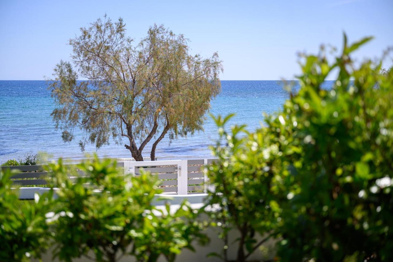 CUBES ON THE BEACH Athens Airport Artemida  Exterior foto